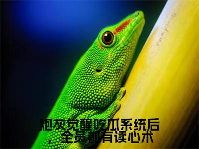 炮灰觉醒吃瓜系统后，全员都有读心术（冷夕颜赵凌宸）全文完整版免费阅读-主角叫冷夕颜赵凌宸的小说炮灰觉醒吃瓜系统后，全员都有读心术