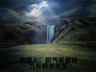 高赞小说撩错人,娇气笨蛋被九爷狠狠亲哭(郁惊画)完结阅读_郁惊画撩错人,娇气笨蛋被九爷狠狠亲哭免费看全文