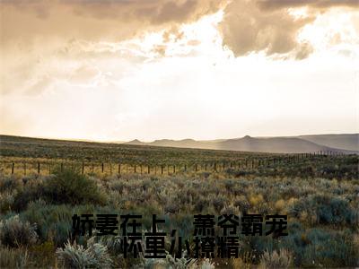 （娇妻在上，萧爷霸宠怀里小撩精）全网热搜是什么小说_娇妻在上，萧爷霸宠怀里小撩精小说（萧凛沈堇）热门章节阅读无弹窗_笔趣阁（萧凛沈堇）