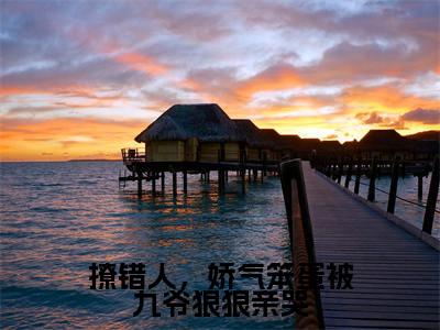 撩错人，娇气笨蛋被九爷狠狠亲哭(郁惊画)小说全文免费阅读无弹窗大结局_撩错人，娇气笨蛋被九爷狠狠亲哭小说免费阅读最新章节列表笔趣阁（郁惊画）