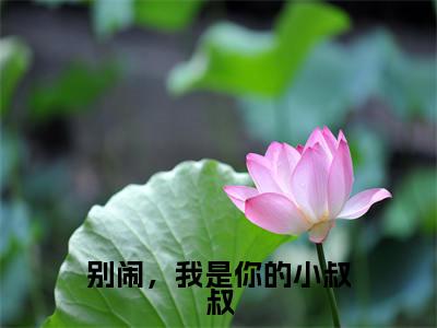 季北望盛清梨（别闹，我是你的小叔叔）全文免费阅读无弹窗大结局-别闹，我是你的小叔叔(季北望盛清梨)小说全文免费阅读最新章节列表