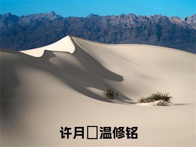 温修铭许月浛是哪部小说的主角,许月浛温修铭免费阅读全文大结局