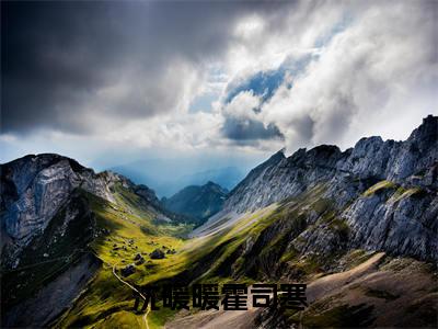 沈暖暖霍司寒小说全文免费阅读(霍司寒沈暖暖)全文免费阅读无弹窗大结局_(霍司寒沈暖暖)沈暖暖霍司寒小说免费阅读无弹窗最新章节列表_笔趣阁(霍司寒沈暖暖)