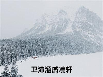 卫沐涵戚凛轩（戚凛轩卫沐涵）全文免费阅读无弹窗_（戚凛轩卫沐涵的小说全文免费阅读）卫沐涵戚凛轩小说最新章节列表无删减_笔趣阁