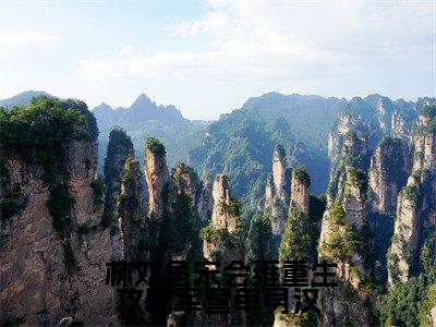 重生攻略军营单身汉，被狂宠上天多人追热门小说  林双鱼宋会雍最新章节免费阅读