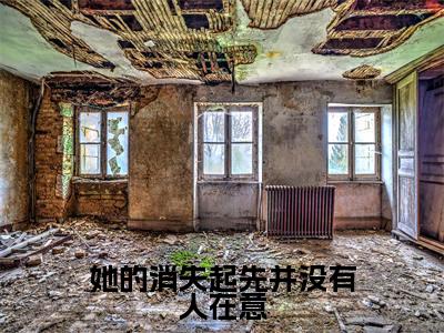 苏念贺时宴(她的消失起先并没有人在意)全文免费阅读无弹窗-她的消失起先并没有人在意完整版全文在线赏析