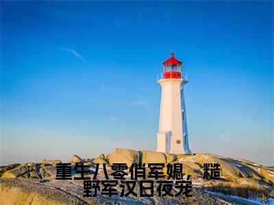 重生八零俏军媳，糙野军汉日夜宠小说全文免费阅读无弹窗大结局_李青苒宋晏最新章节列表_笔趣阁