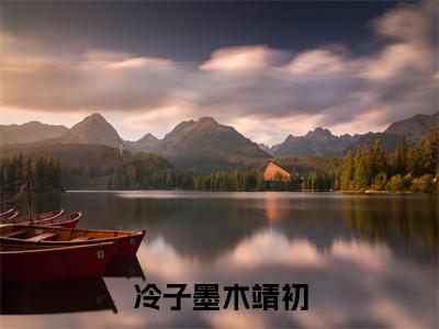 新书热荐冷子墨木靖初全集小说完整版大结局-小说木靖初冷子墨全文完整版免费阅读