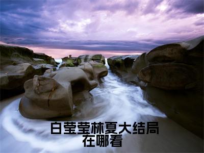 我靠生子扬名兽世全文免费阅读无弹窗大结局， 白莹莹林夏小说最新章节