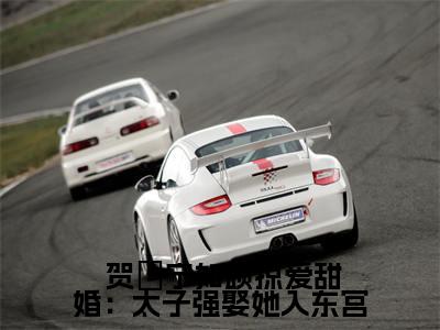 掠爱甜婚：太子强娶她入东宫( 贺玥宁如颂)小说全文免费阅读无弹窗大结局_（ 贺玥宁如颂）掠爱甜婚：太子强娶她入东宫最新章节列表（ 贺玥宁如颂）