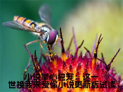  殷寒南笙精选热门小说 掌心独宠：这一世换我来爱你小说更新版试读已完结全集大结局