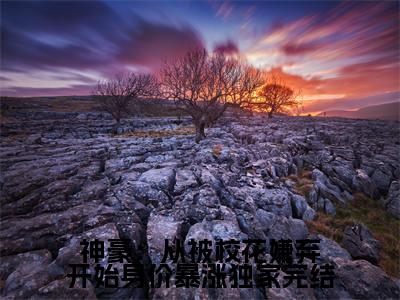 神豪：从被校花嫌弃开始身价暴涨小说（ 陈凡赵琳琳）全文免费阅读无弹窗大结局_（ 陈凡赵琳琳）神豪：从被校花嫌弃开始身价暴涨最新章节列表（ 陈凡赵琳琳）