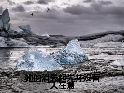 她的消失起先并没有人在意(苏念贺时宴)全文免费阅读无弹窗大结局_(她的消失起先并没有人在意阅读全文大结局)苏念贺时宴最新章节列表(苏念贺时宴)