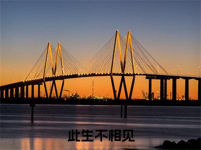 此生不相见小说全文免费阅读正版 殊颜白楚烨免费阅读无弹窗