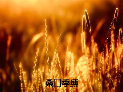 桑忨季缚小说(季缚桑忨)最新章节阅读-桑忨季缚(季缚桑忨)免费阅读无弹窗大结局