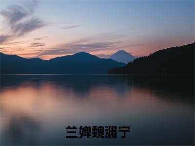 兰婵魏渊宁（魏渊宁兰婵全文免费阅读）小说最新章节_兰婵魏渊宁全文免费阅读最新章节列表_笔趣阁