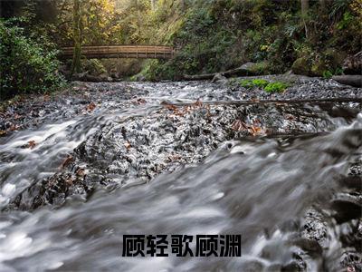 顾轻歌顾渊（顾渊顾轻歌）小说在线阅读_顾轻歌顾渊免费阅读笔趣阁（顾渊顾轻歌）