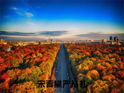 小说《宋青黛严从礼》全文免费阅读无弹窗-严从礼宋青黛小说全文在线赏析_笔趣阁