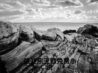  张兆东王默（官场之我主沉浮）全文在线阅读无弹窗大结局_ 张兆东王默精选免费小说大结局阅读_官场之我主沉浮
