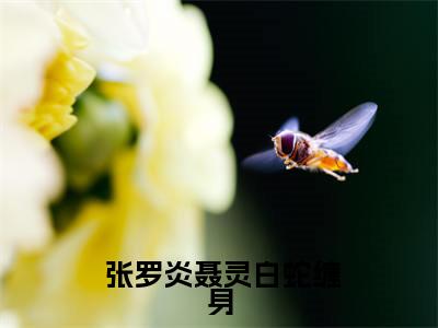  张罗炎聂灵（白蛇缠身，百鬼送嫁）全文免费阅读无弹窗完整版，( 张罗炎聂灵)免费阅读全文最新章节列表_笔趣阁