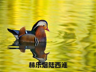 林乐烟陆西淮小说(陆西淮林乐烟)全文免费阅读无弹窗大结局_陆西淮林乐烟林乐烟陆西淮小说最新章节列表_笔趣阁(陆西淮林乐烟)