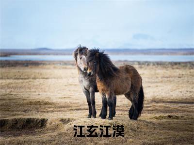 觉醒神脉后，一拳惊九天（ 江玄江漠小说）全文免费阅读无弹窗大结局_觉醒神脉后，一拳惊九天全文免费阅读_笔趣阁