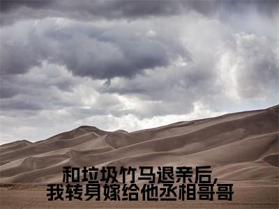 和垃圾竹马退亲后,我转身嫁给他丞相哥哥小说全文免费阅读 （贺文书贺斯远姜珍）免费阅读全文免费阅读无弹窗大结局