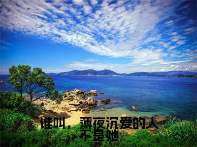 苏棠薄夜沉小说(谁叫,薄夜沉爱的人不是她已完结小说全集完整版大结局)谁叫,薄夜沉爱的人不是她小说全文阅读笔趣阁