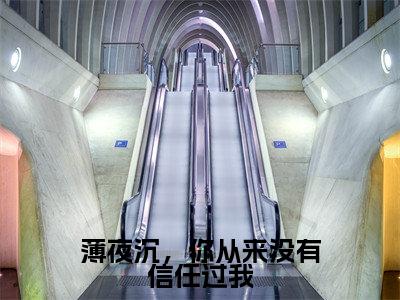 薄夜沉，你从来没有信任过我 薄夜沉苏棠小说（薄夜沉苏棠）全文免费阅读无弹窗大结局_薄夜沉苏棠小说最新章节列表_笔趣阁