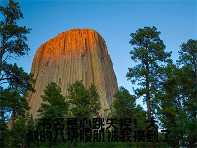  叶妩顾郁北新书心跳失控！大叔的八块腹肌被我摸到了看全文小说- 叶妩顾郁北小说资源阅读心跳失控！大叔的八块腹肌被我摸到了