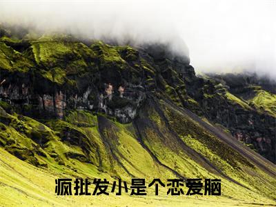 疯批发小是个恋爱脑(陈挽侬许南席)小说全文免费阅读无弹窗大结局_疯批发小是个恋爱脑全文在线阅读无弹窗(陈挽侬许南席)