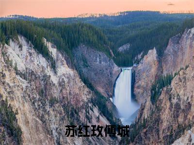 苏红玫傅城（傅城苏红玫小说）全文免费阅读无弹窗大结局_傅城苏红玫小说免费阅读-笔趣阁