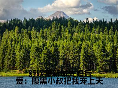 先婚后爱：腹黑小叔把我宠上天小说限时免费, 舒欢霍靳城完结版小说阅读无弹窗_笔趣阁