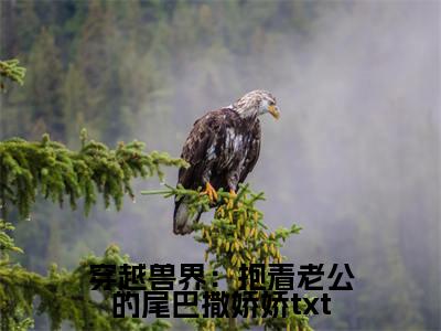  元珈罗阿瓦达（穿越兽界：抱着老公的尾巴撒娇娇）全文免费阅读_穿越兽界：抱着老公的尾巴撒娇娇全文阅读_笔趣阁