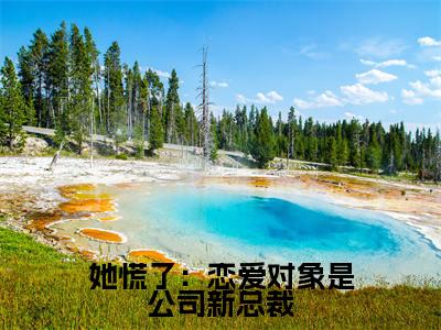 她慌了:恋爱对象是公司新总裁小说(周敛深舒菀)全文免费阅读无弹窗大结局_她慌了:恋爱对象是公司新总裁全文免费完结版阅读(周敛深舒菀)