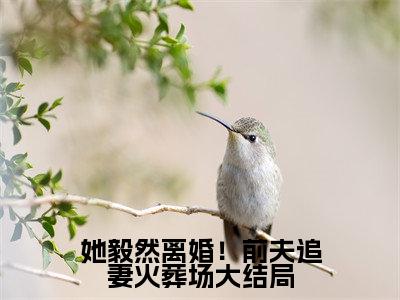 她毅然离婚！前夫追妻火葬场（ 盛相思傅寒江）精彩小说- 盛相思傅寒江全章节免费阅读