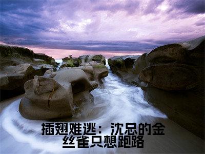 插翅难逃：沈总的金丝雀只想跑路小说全文免费阅读(插翅难逃：沈总的金丝雀只想跑路)全文免费阅读无弹窗_沈晏温荡小说全文免费阅读_笔趣阁(插翅难逃：沈总的金丝雀只想跑路)