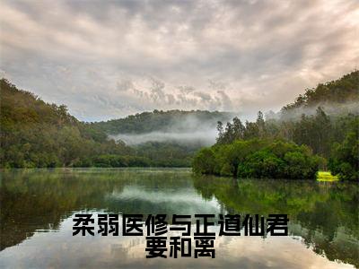 柔弱医修与正道仙君要和离（林怜儿南宫曜小说）全文免费阅读无弹窗大结局_柔弱医修与正道仙君要和离最新章节列表笔趣阁（林怜儿南宫曜）