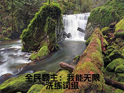 全民领主：我能无限洗练词缀(蓝星）小说全文免费读无弹窗大结局_全民领主：我能无限洗练词缀小说章节试读最新章节列表笔趣阁
