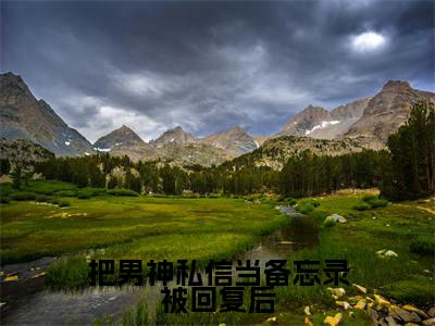 把男神私信当备忘录被回复后小说（岑遥谢奕修）小说全文免费岑遥谢奕修读无弹窗大结局笔趣阁（把男神私信当备忘录被回复后）
