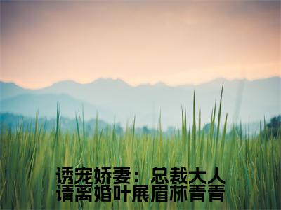  叶展眉林青青小说免费(诱宠娇妻：总裁大人请离婚叶展眉林青青)全文免费阅读无弹窗-诱宠娇妻：总裁大人请离婚叶展眉林青青小说全文免费阅读最新章节列表_笔趣阁