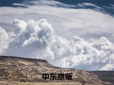 (番外)+(全文)中东商贩小说免费下载阅读_(中东商贩)季岩最新章节列表_笔趣阁(季岩)