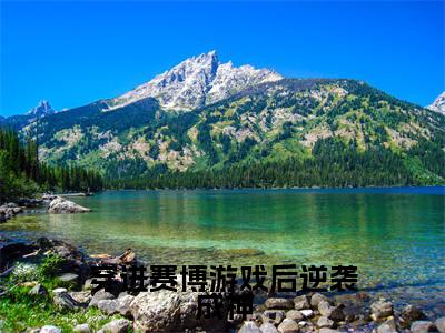 穿进赛博游戏后逆袭成神(江寂小说)小说全文免费阅读_穿进赛博游戏后逆袭成神江寂小说下载_最新章节列表笔趣阁(穿进赛博游戏后逆袭成神)