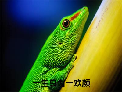 一生只为一欢颜全文免费阅读_霍司南林初雪（一生只为一欢颜）小说在线阅读最新章节列表笔趣阁