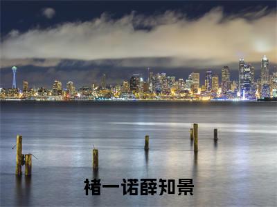 褚一诺薛知景小说免费阅读全文小说薛知景褚一诺全章节阅读
