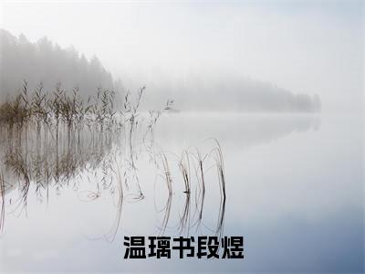 (段煜温璃书)是什么小说-(温璃书段煜)全文免费阅读无弹窗大结局(段煜温璃书)最新章节列表_笔趣阁