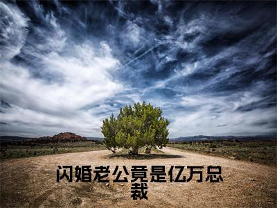 小说(闪婚老公竟是亿万总裁)陈安安季景盛精选片段阅读-小说陈安安季景盛免费版最新更新阅读
