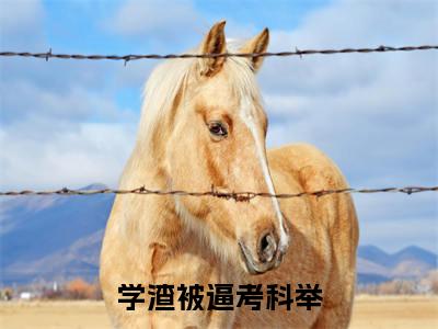 (热推新书)（学渣被逼考科举）全文免费阅读无弹窗大结局-程子安全文阅读无弹窗