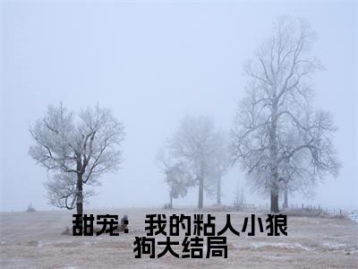 甜宠：我的粘人小狼狗小说最新章节阅读-小说甜宠：我的粘人小狼狗（ 凌月凌阳）已完结小说精彩大结局