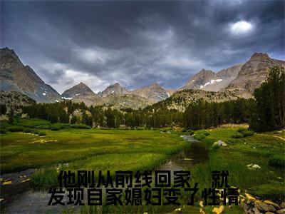 他刚从前线回家，就发现自家媳妇变了性情高赞小说（顾之彰沈梨清）完结阅读_他刚从前线回家，就发现自家媳妇变了性情全文完整版免费阅读最新章节列表